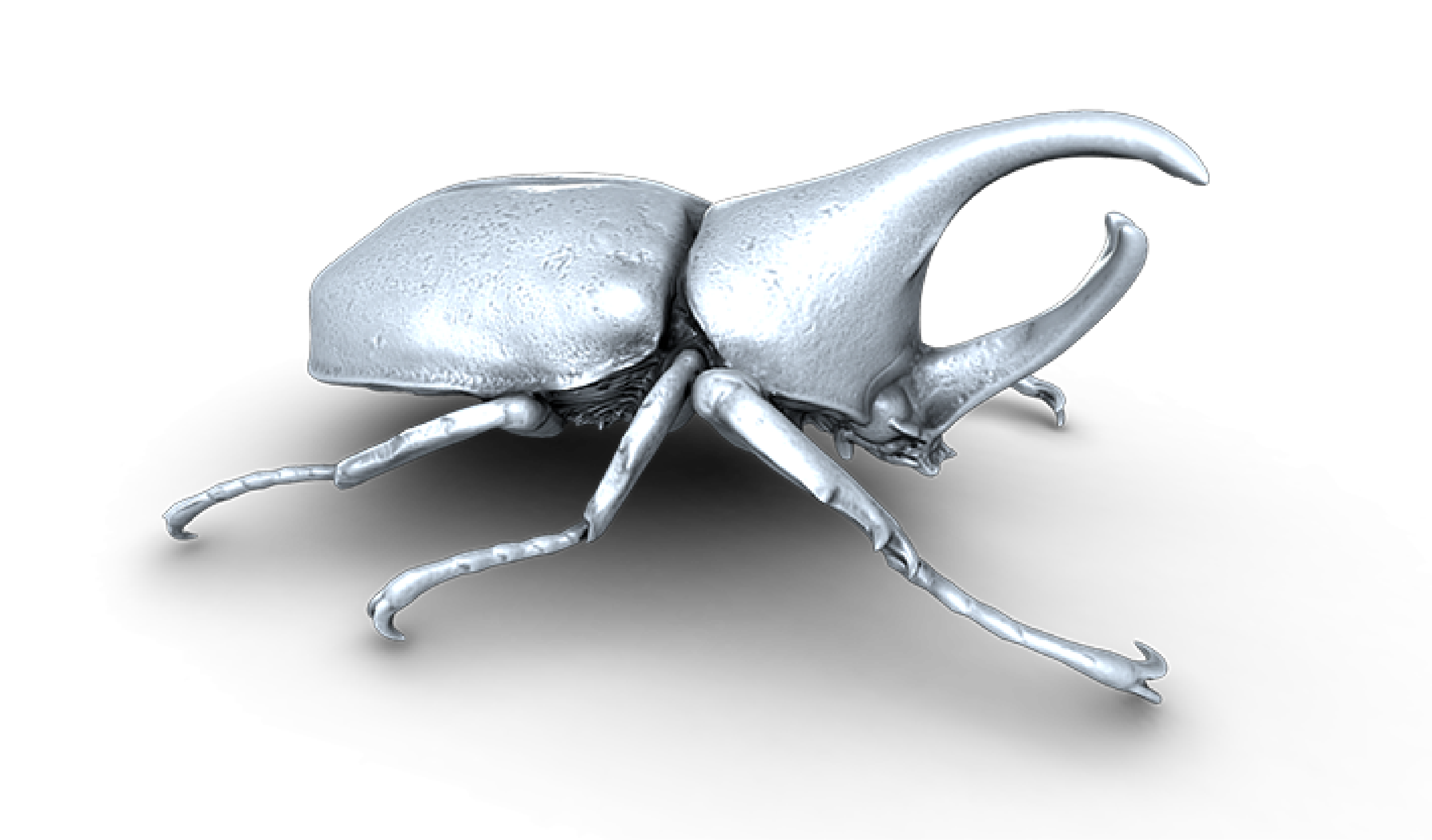 3D-rendered model of a rhinoceros beetle, showcasing its distinctive horn and detailed anatomical features in a metallic finish.
