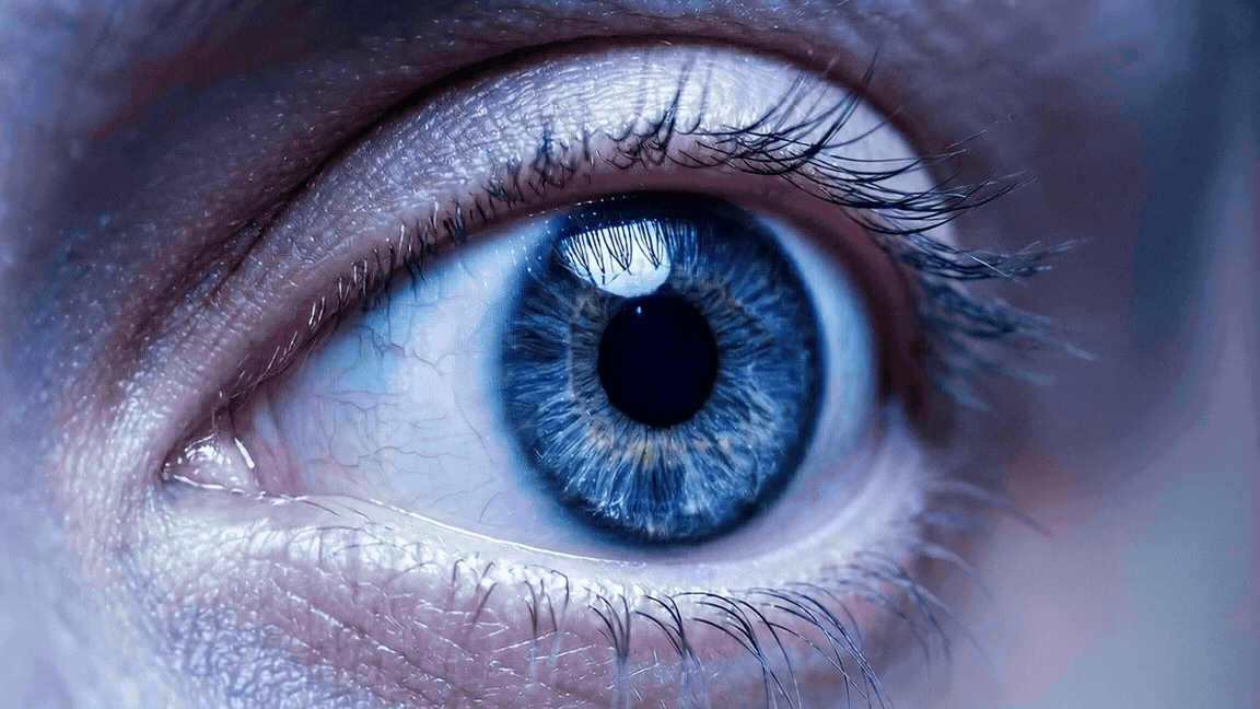 Gaze Tracking | LIPS Corporation