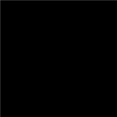 **LIPS corporate brand guidelines illustrating the primary black color swatch, establishing the core visual identity for enterprise marketing, typography, and logo applications.**