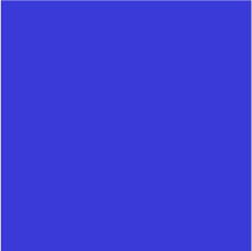 **LIPS corporate brand guidelines illustrating the primary blue brand color swatch, establishing the core visual identity for enterprise marketing and logo applications.**